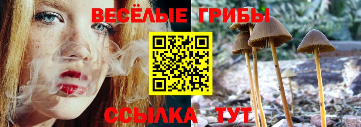 Псилоцибиновые грибы Cubensis  Вход с VPN  Севастополь 